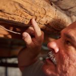 Termite Damage