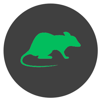 NuTech Pest Control | Connecticut | Services