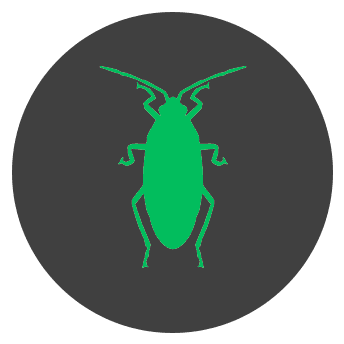 NuTech Pest Control | Connecticut | Services