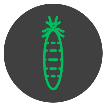 NuTech Pest Control | Connecticut | Services